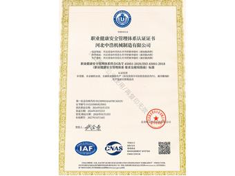 ISO45001職業健康安全管理體係認證證書 中文